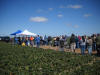 Santa Maria Field Day